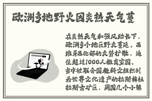 丁香五月丁香五月激情综合素质